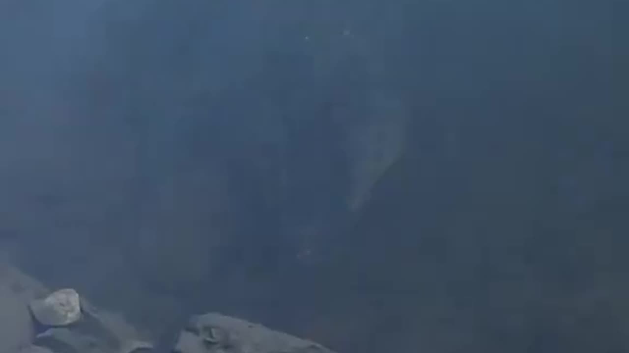 The reason you should avoid the water in Australia