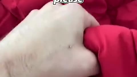 Cutest panda dog 🐼