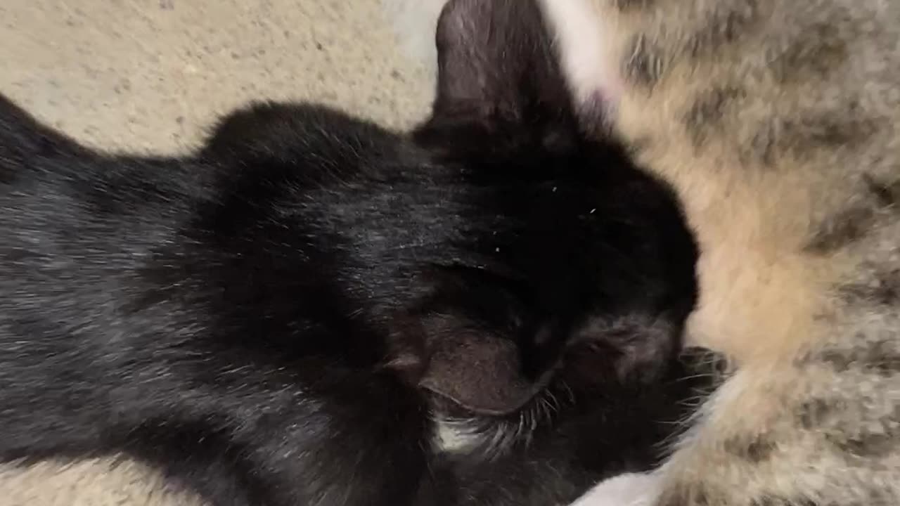Weird and cute 🥰😨