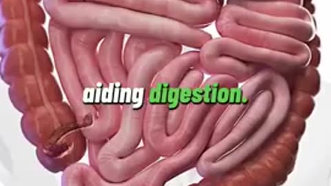 Raw & Cooked Foods Health Benefits