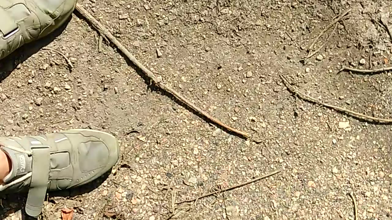 Going For a Walk with Velcro Sneakers - Date: 6/12/2017