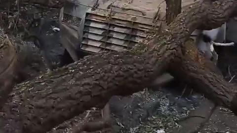 🇷🇺🇮🇱 Ukraine Russia War | Ukrainian Roshel Senator Destroyed Near Kostiantynivka | RCF