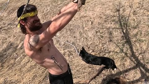 🐕Forearms🌞💪Biceps🐾