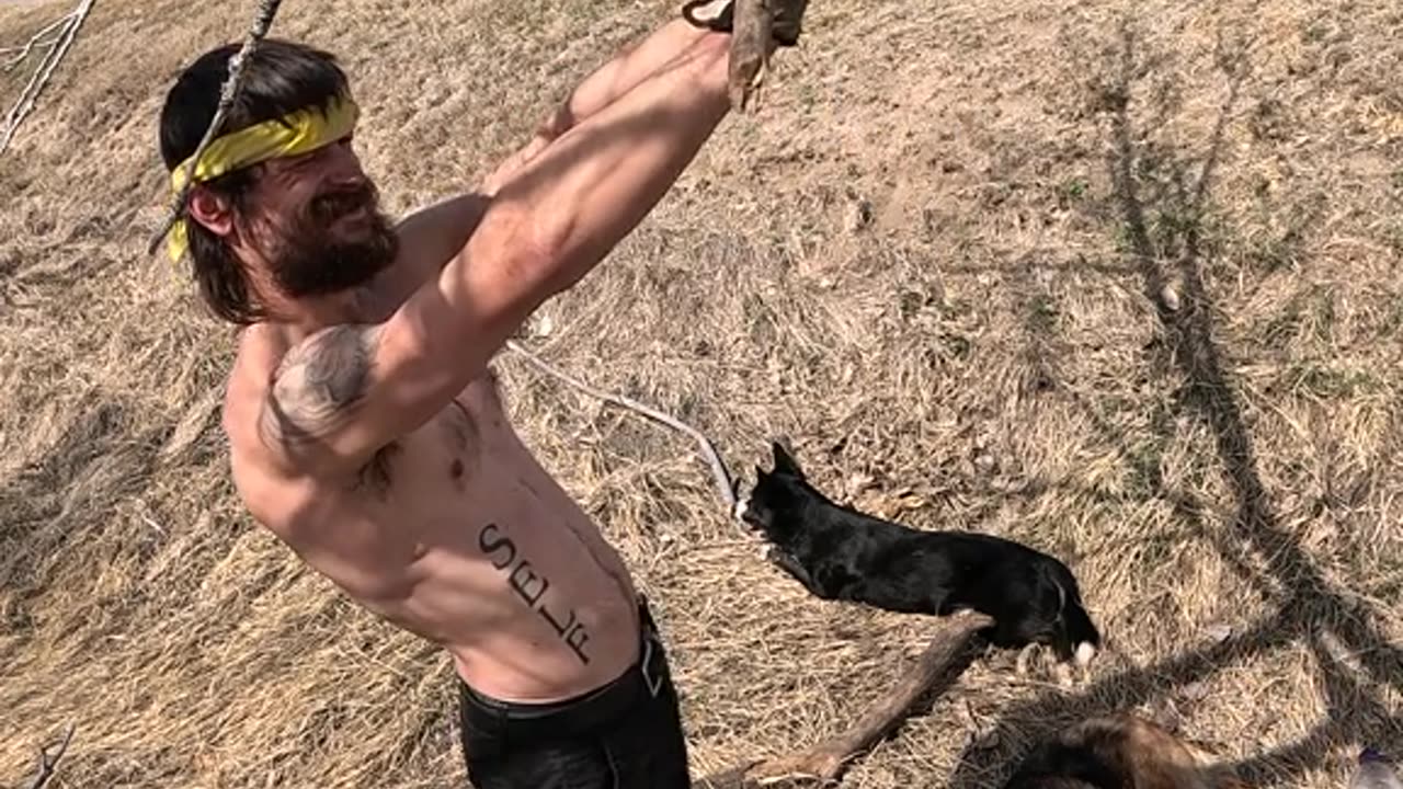 🐕Forearms🌞💪Biceps🐾