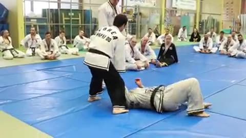 Hapkido