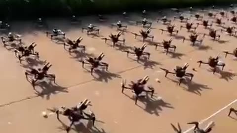Fourth-generation drone fireworks show featuring 1000 drones performing at Liuyang Weekend Fireworks