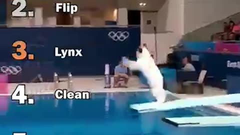 Ranking Best AI Cat Flap with Prey Detection