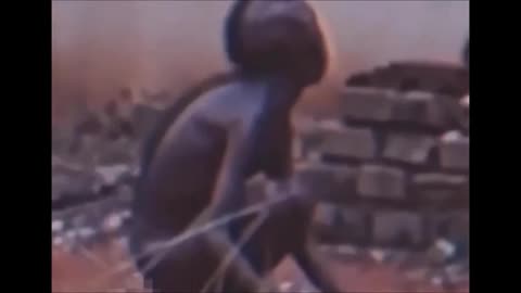 Vidéo prétendument de la créature de Varginha 1996