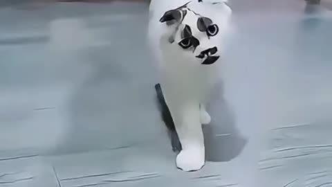 💝