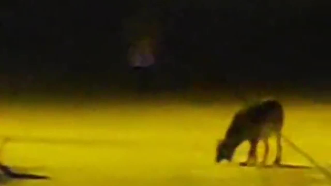 😱👻 Another Sighting of La Llorona! | TheHauntingHour