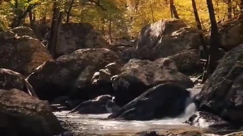 #bible study with #jairus #2Kings 13:19 We Should Never Give Up