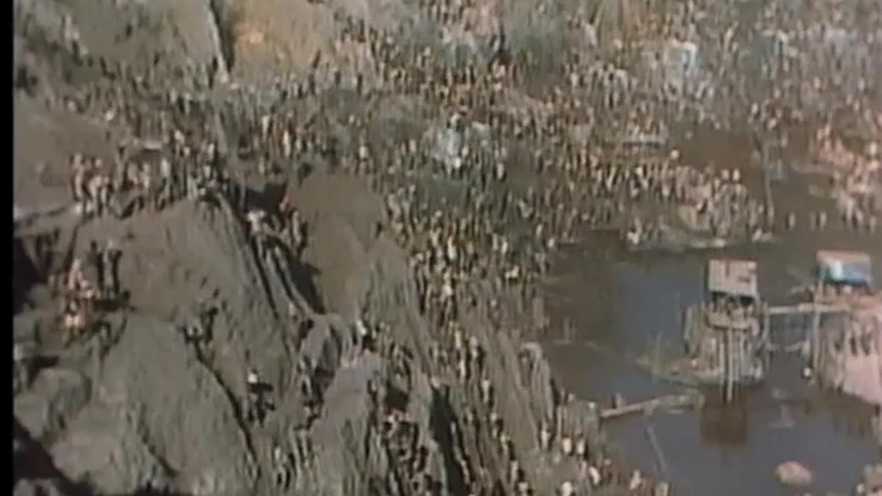 The Mysterious Cities of Gold S01E20 The Spaniards' Cannon