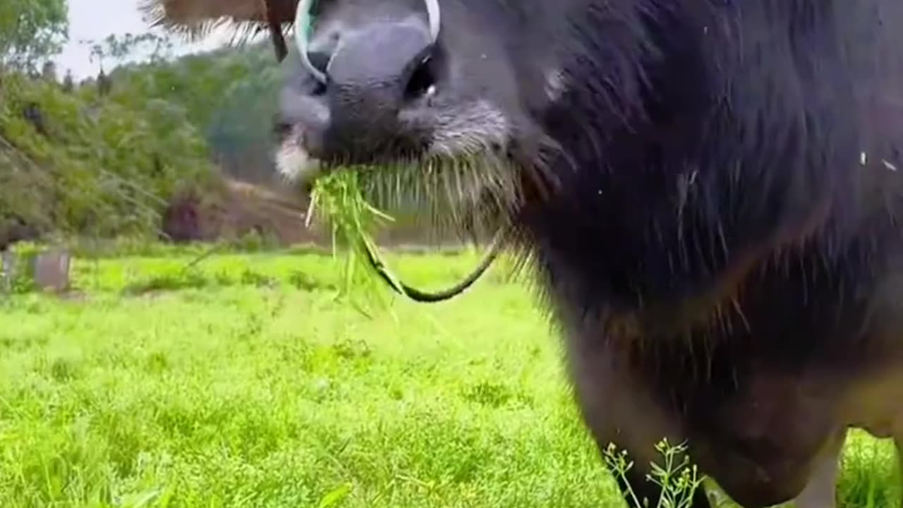 Funny Little Thing That’ll Make You Smile!