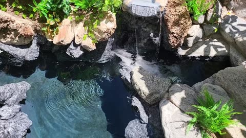 Filling The Pond