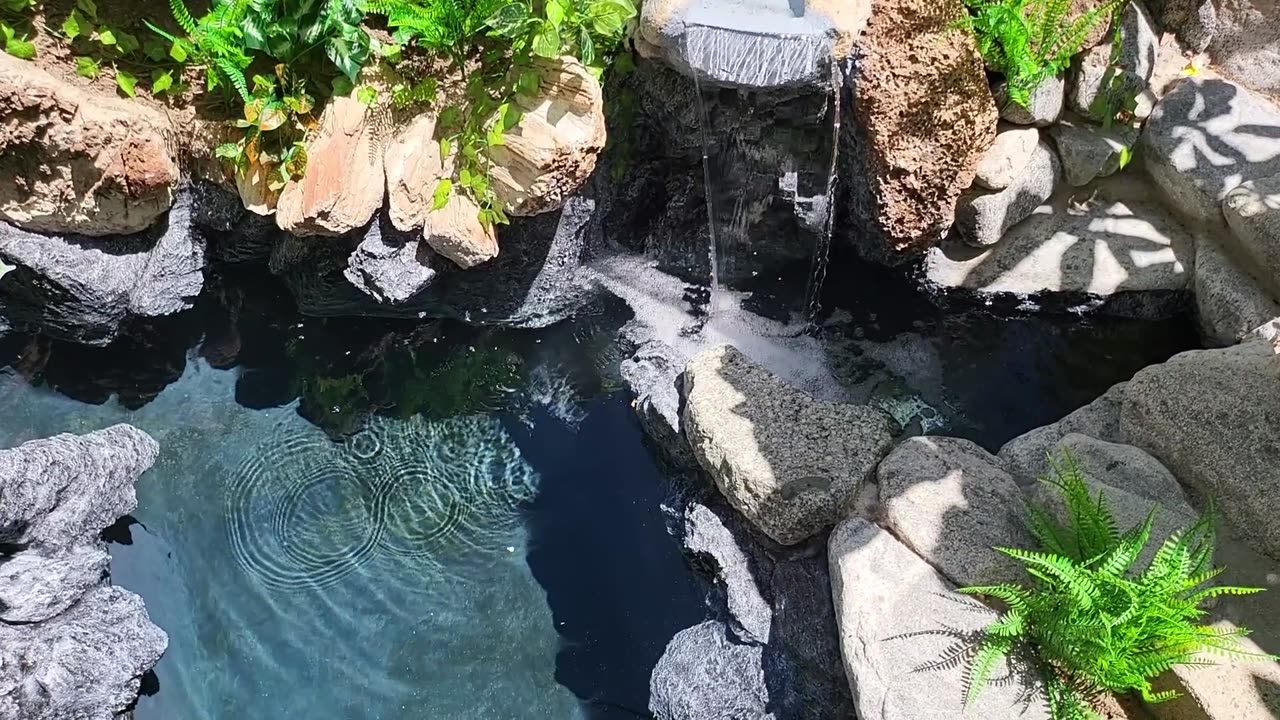Filling The Pond