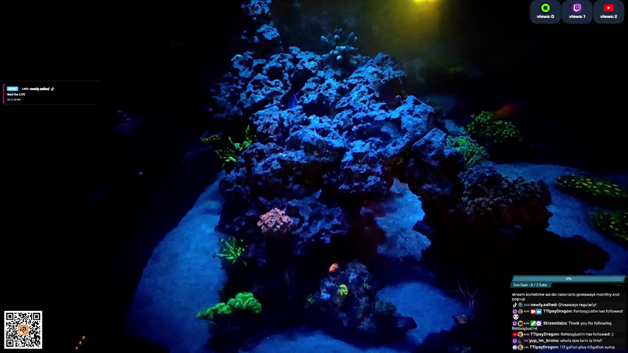 24/7 Real Live Reef Stream