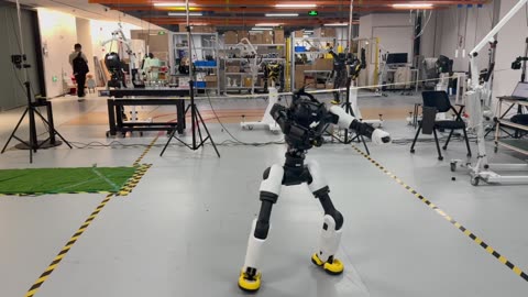 🤖💥 Think You Can Beat the Robot in the Octagon? Watch This! | FunFM