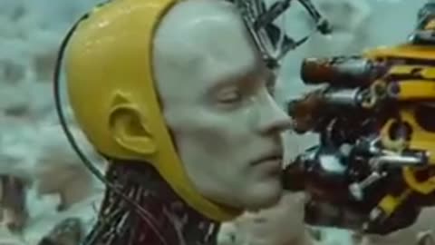 You became ghosts inside your own machines