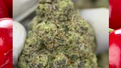 White Cherry THCa Flower | Indica-Hybrid | Cherry Berry Sweet Earth | Euphoric Calm | Bulk #thca