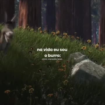 O burro é mt engraçado kakakakaka......#memes #explorepage #viral #explorar #explore #viralvideos #reelsinstagram #rindomuito #fypシ #risos #sherek #burros #burro #humor #meme.mp4
