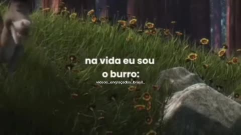 O burro é mt engraçado kakakakaka......#memes #explorepage #viral #explorar #explore #viralvideos #reelsinstagram #rindomuito #fypシ #risos #sherek #burros #burro #humor #meme.mp4