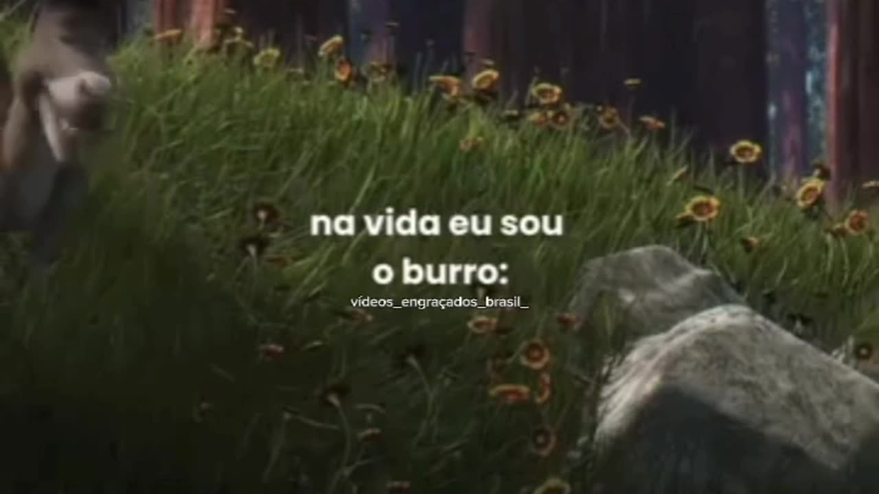 O burro é mt engraçado kakakakaka......#memes #explorepage #viral #explorar #explore #viralvideos #reelsinstagram #rindomuito #fypシ #risos #sherek #burros #burro #humor #meme.mp4