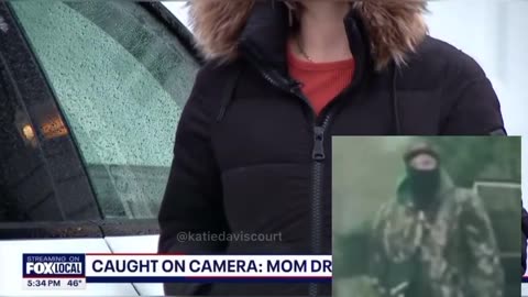 Radical Lefties Attacking Tesla Owners - There's Only One Ending for these Terrorists