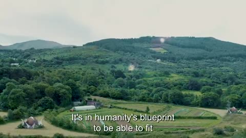 Дэвид Айк человек-антенна