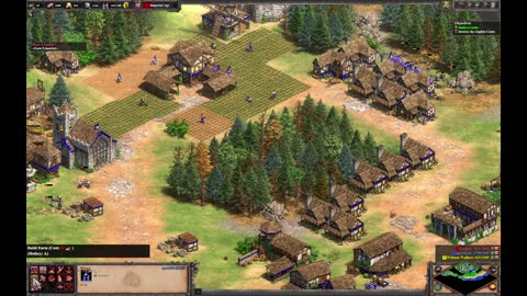 Age of Empires II