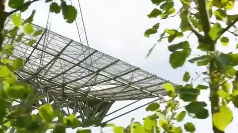 Daily Horoscope | Scorpio 🌟