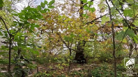 Ukraine war footage 10/29/25