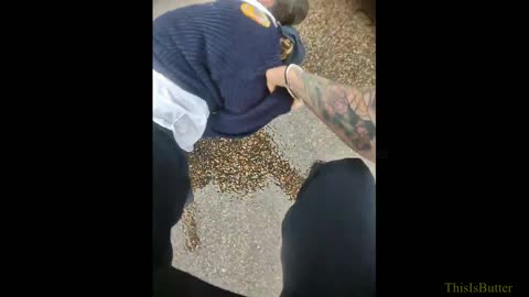 Woman files lawsuit against Colorado Springs police department over use of force arrest