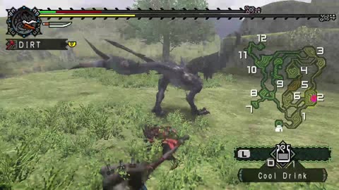 Monster Hunter Freedom Part 14- A Dragon And A Bird?