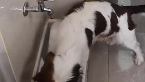 Hygiene