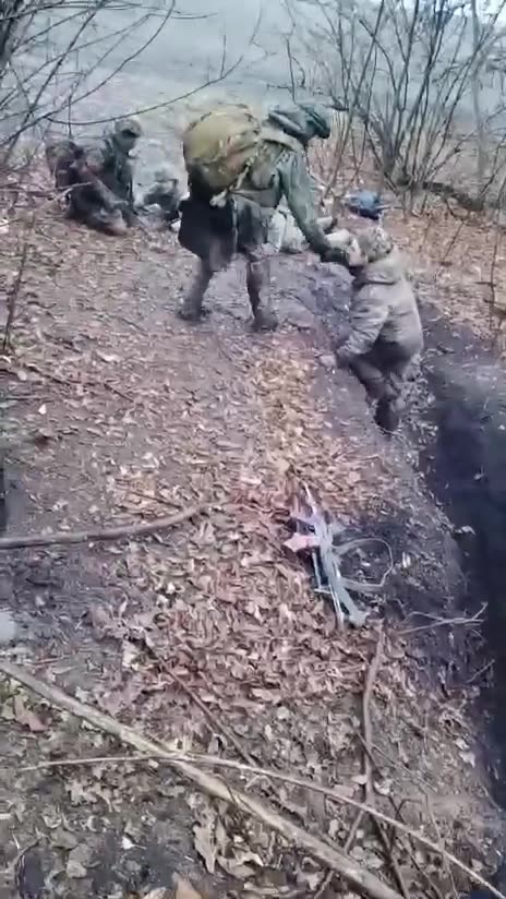 Taking boars prisoner in the South Donetsk direction