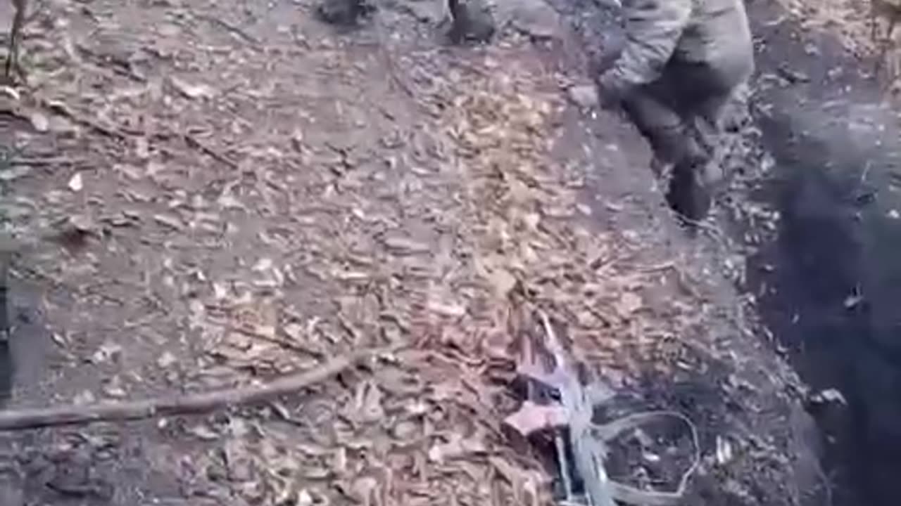 Taking boars prisoner in the South Donetsk direction
