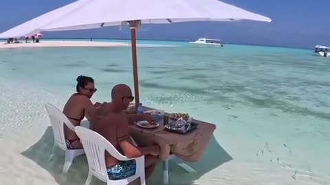 enjoy the beauty of the beach