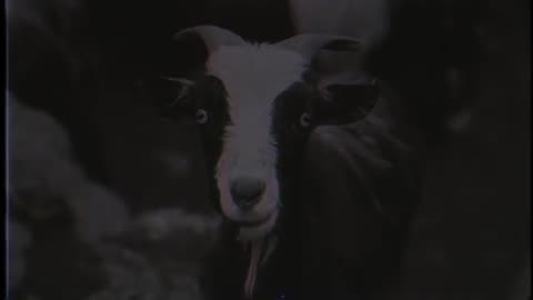 Volbeat - In the Barn of the Goat Giving Birth to Satan’s Spawn in a Dying World of Doom