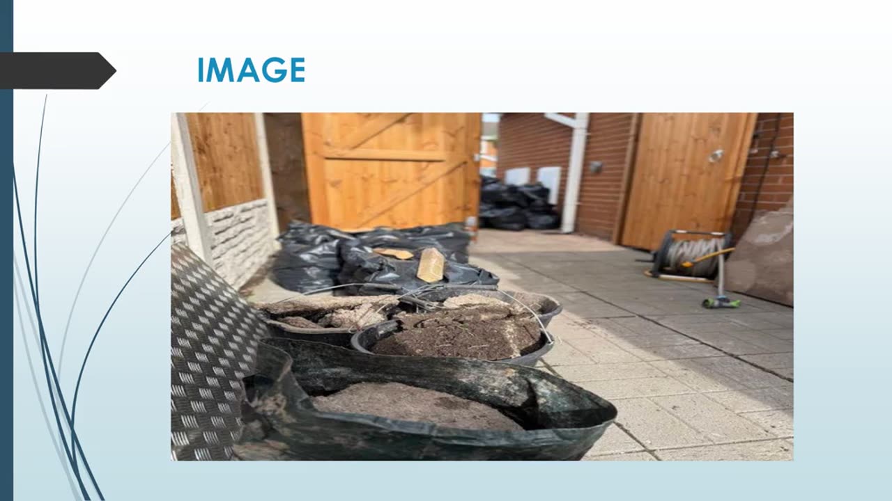 Best Tree Surgery in Liscard