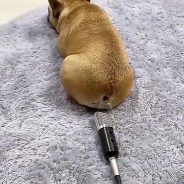 Unexpected LOL Moment 😂💥