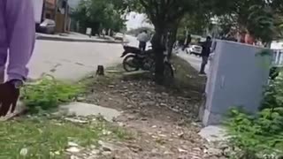 Ataque a agente de tránsito en Cartagen