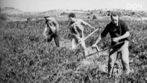 Jewish Journalist EXPOSES Israel’s DARK SECRET History