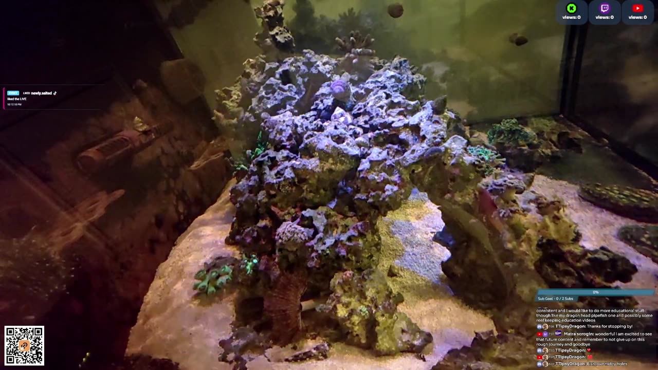 24/7 Real Live Reef Stream