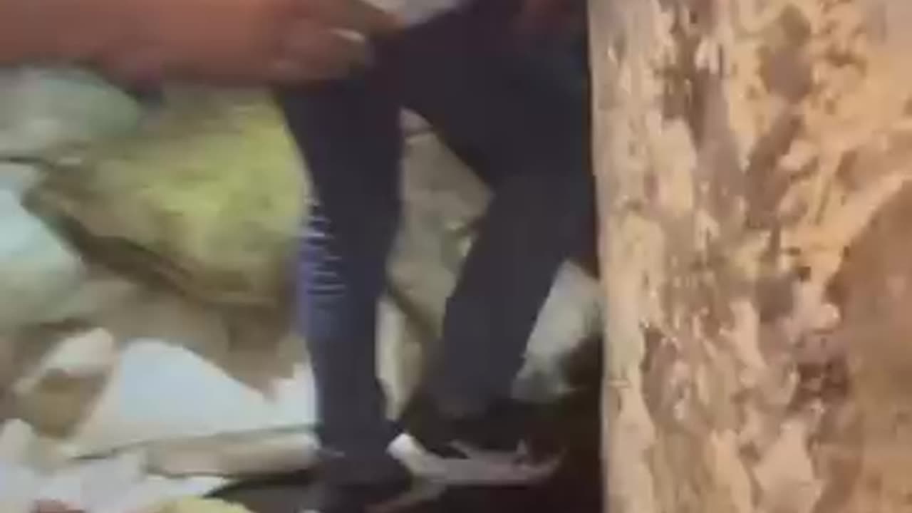 देखो यूपी के अन्दर किस तरह गौ माता काटी जा रही है।और हमारे हिन्दू समाज अभी तक सोया हुआ है