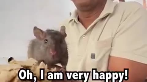 India never fails to disgust me