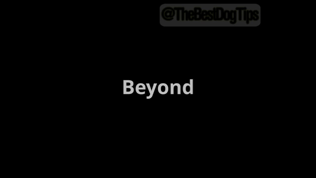 🎬 Episode 8: “The Leave It Lifesaver – Beyond Dropping”