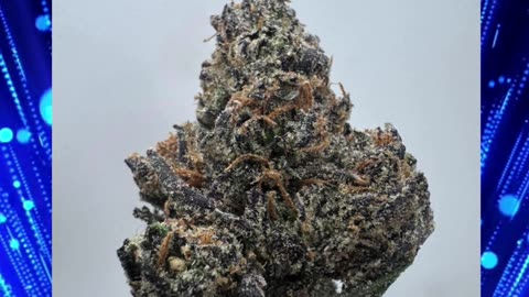 Blue Jam THCa Flower | ~30% Indica Hybrid | Sweet Blueberry, Berry Gas, Euphoric, Relaxed-Bulk #thca