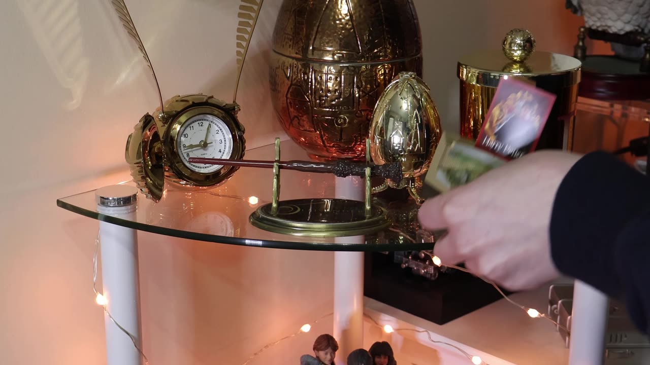 Japanese Hungarian Horntail Diorama | Unboxing