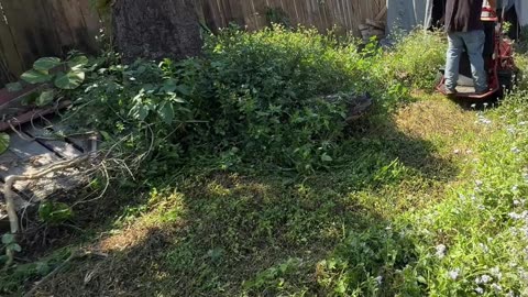 This Abandoned Home Became an H.O.A. Nightmare—No One Knows Who Owns It P3