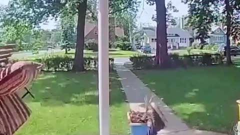 The End 😂😂😂 | Funniest Short Fail Ever!
